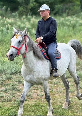 Водитель