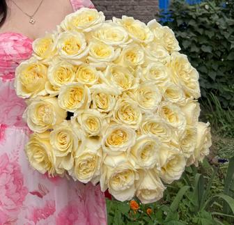 Голландские розы 35 шт