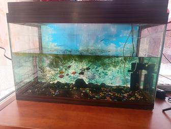 Продам аквариум
