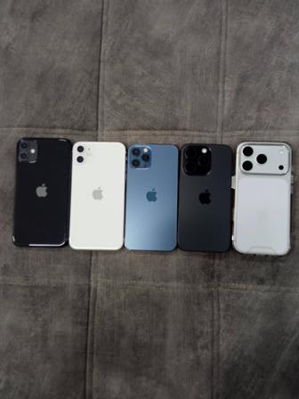 Мобилограф