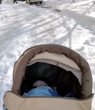 Коляска зима-лето