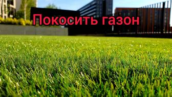 Покос газона. Стрижка газона.