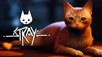 Stray для PS4