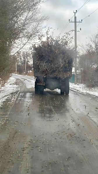 Обрезка аварийных деревьев