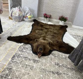 Шкура медведя