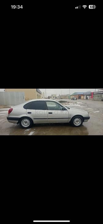 Аренда машины Toyota corolla
