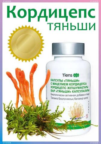 Кордицепс Тяньши