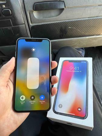 iPhone X