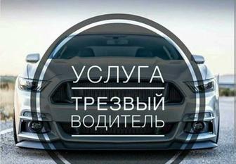 Трезовый Водитель