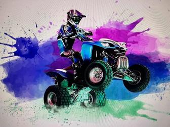 Прокат аренда квадроциклов