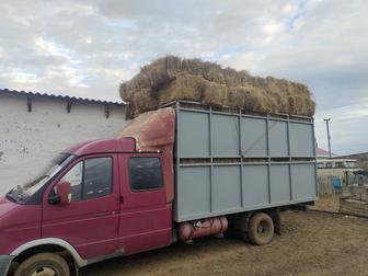 Услуги газель бортовой скотавоз