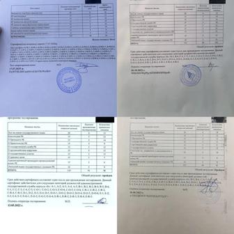 Гостест ответы с вопросами в удобном для чтения файле