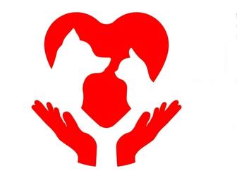 Услуги ветеринара