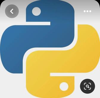 Курсы по python