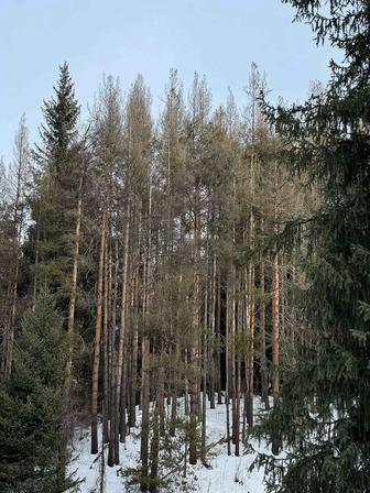 Массаж классический