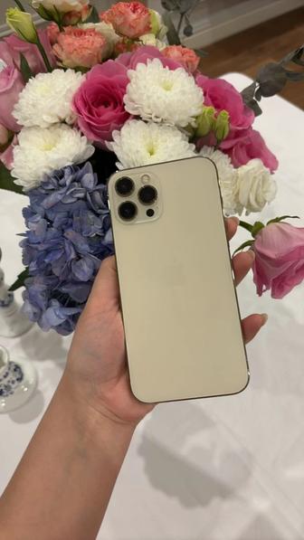 iPhone 12 Pro Max 256, 180 тыс.тг
