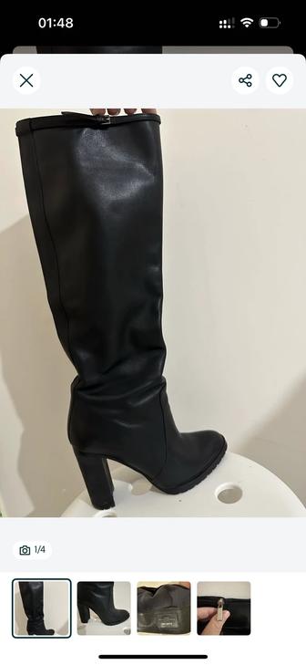 Сапоги Basconi