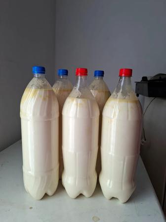 Жаңаарқаның бал қымызы сатылады