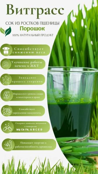 Витграсс Пшеница проросшая Organic 200гр WHEAT GRASS POWDER