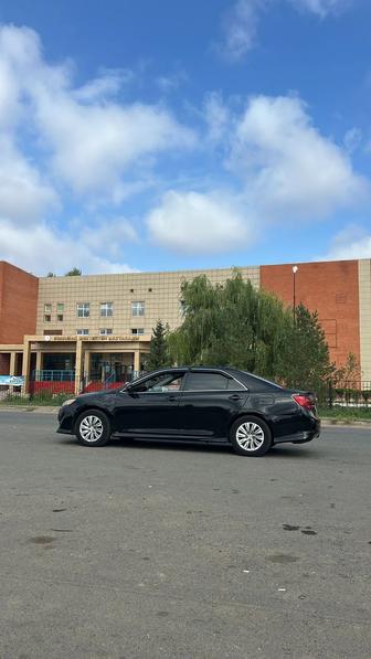 Аренда авто с водителем