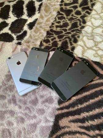 iPhone