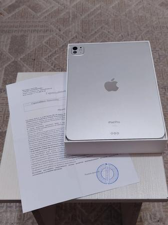 iPad Pro 11 256Gb M4