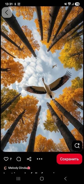 Т-игра для женщин Сценарий жизни