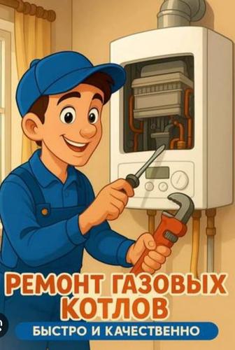 Ремонт газовых котлов