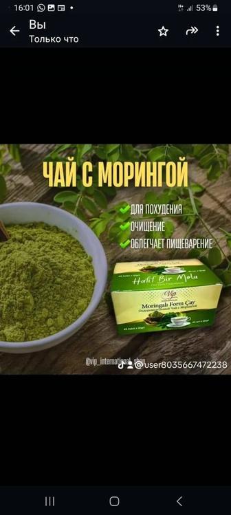 Маринго шай