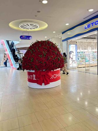 Репетитор по Английскому языку для начальных классов