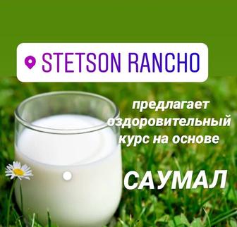 Кумыс , саумал