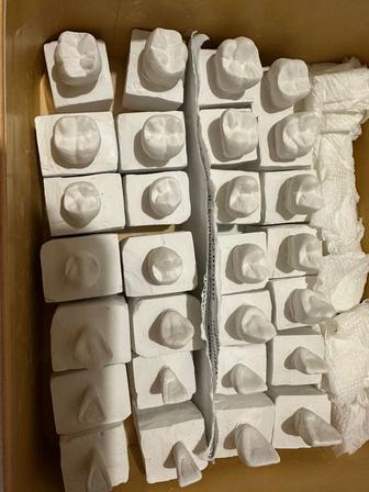 Гипсовые зубы (учебные модели)