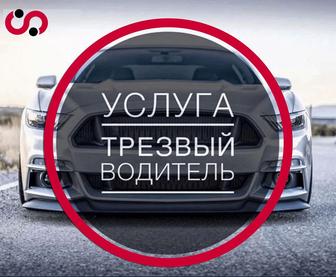 трезвый водитель