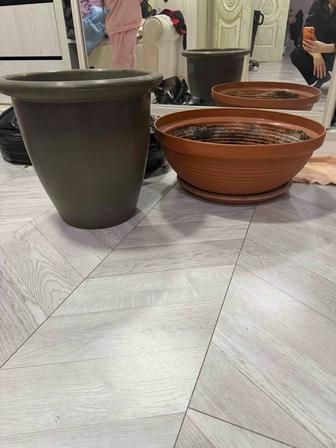 Отдам 2 больших горшка для цветов