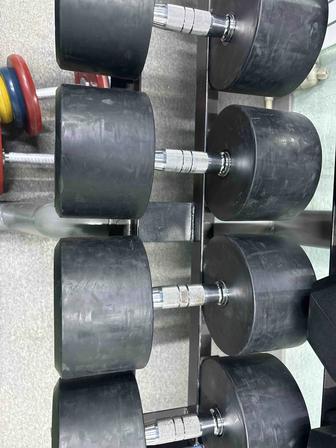 Гантели Alex 45 кг 2 шт