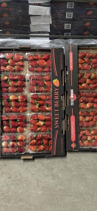 Свежая клубника Египет