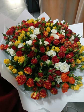 Свежий 51 роз
