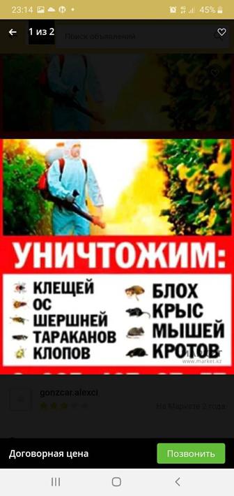 Дезинфекция Дезинсексия Дератизация