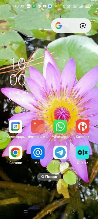 Услуги главного бухгалтера