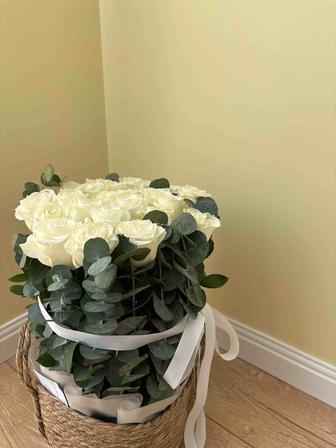Продам цветы с корзиной