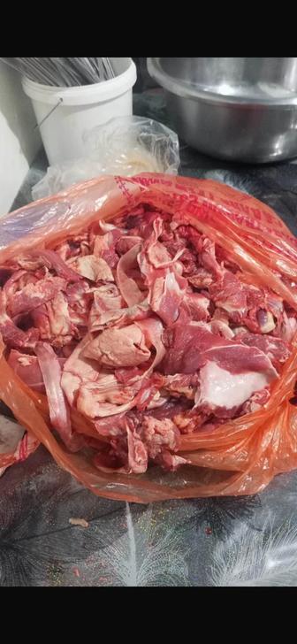 Обрезки мясо говядины
