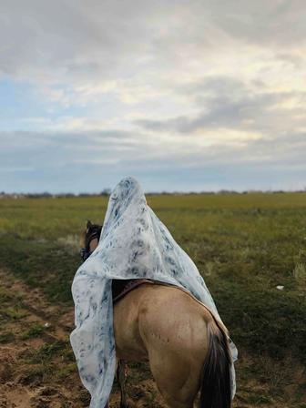 Шарф Шарқия (Sharqiaa) 3метр