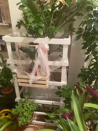 Продам полку для цветов