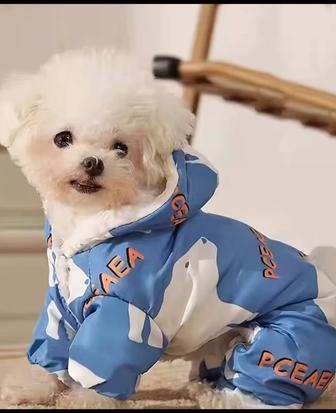 Вещи для щенков