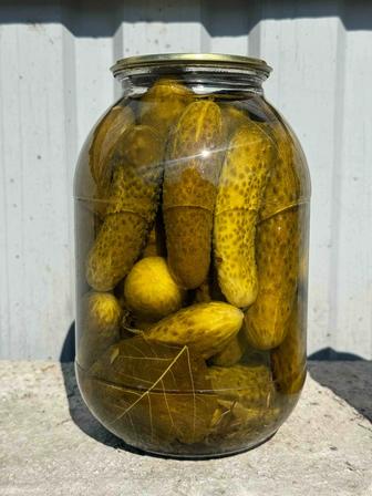 Продам огурцы в банках
