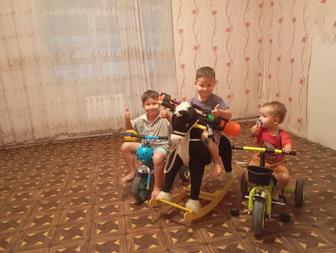 Няня на вечер . Без вредных привычек