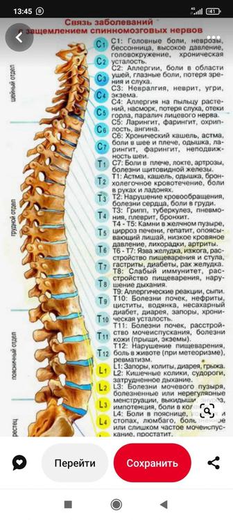 Психолог. Нумеролог