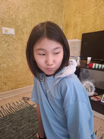 Продам попугаев