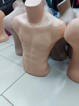 Мужские торсы манекены