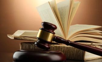 Адвокат по гражданским и уголовным делам